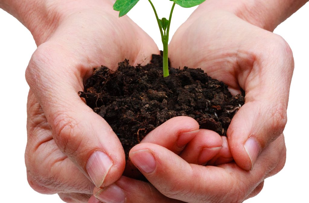 A perspective on environmental sustainability assessments in the healthcare sector