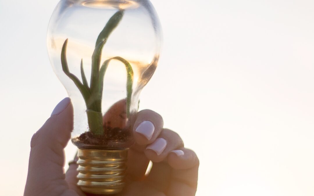 Renal Care Sustainability