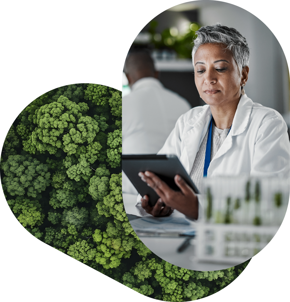 Clinical trialist working on a tablet