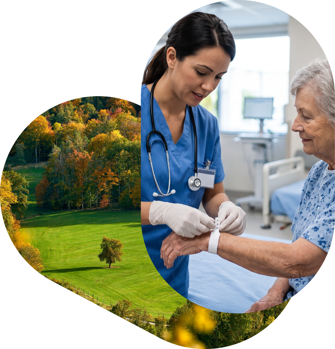patient with nurse